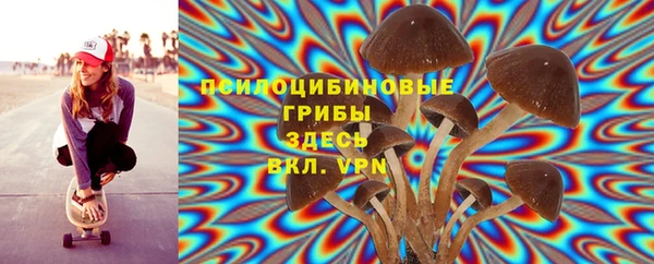 MESCALINE Алзамай