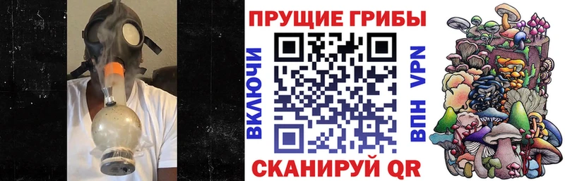 Галлюциногенные грибы Magic Shrooms  Пикалёво 